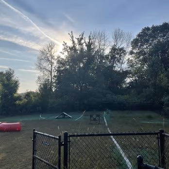 Plymouth Dog Park photo 2